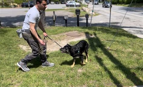 Image result for Reactive Behavior