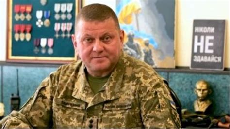 俄罗斯内政部已经宣布通缉乌克兰武装部队总司令扎卢日内__财经头条