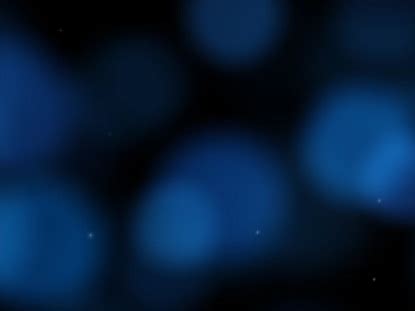 Image result for Loop Blue