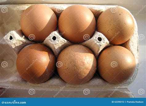 Half a dozen eggs in a box stock image. Image of chicken - 6239015