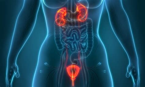 Medical Device Manufacture & Supplier India | Shalya