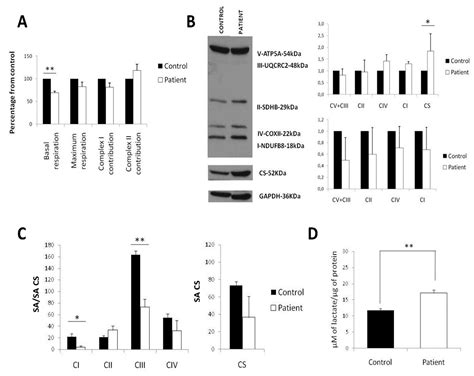 Mitochondrial Dysfunction and Calcium Dysregulation in Leigh Syndrome ...