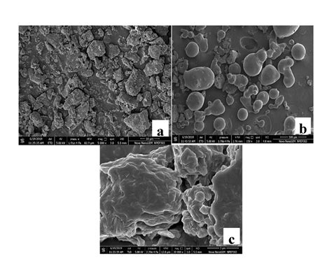 Fig. 2: Scanning electron micrograph of (a) Cu (b) Pol 407 (c) Cu-SD