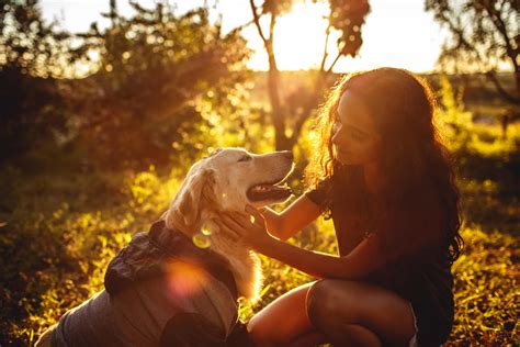 Pet Tax Deductions 2025: What’s Actually Allowed for Individuals ...