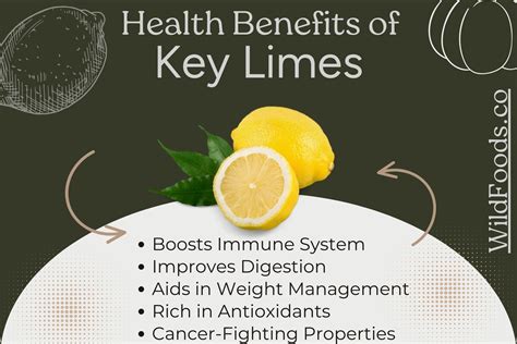 What is Key Lime and what are its benefits?