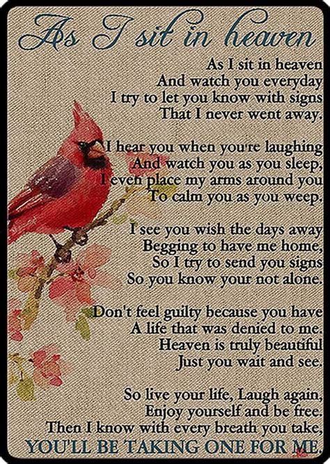 Buy As I Sit in Heaven Cardinal Aluminum Tin Sign Wall Art Decor ...