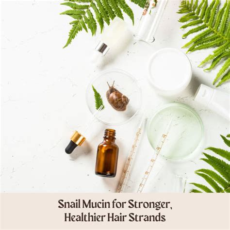 Snail Mucin for Hair: Secret to Healthier, Stronger Strands | Clinikally
