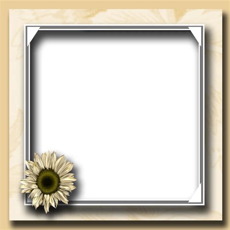 Free Picture Frame Png Transparent, Download Free Picture Frame Png ...