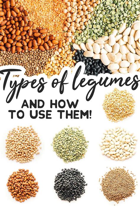 Types of Legumes: A Guide to Using Beans, Chickpeas, and Peas