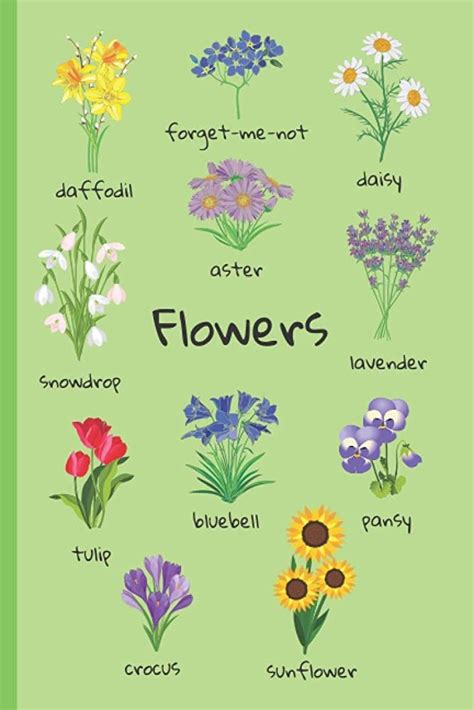 Image result for Spring Flower Types