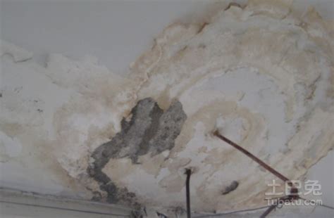 房屋顶漏水怎么修补，盘点各种防水材料的利弊-墙洞修补