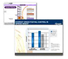 Corporate Presentation Services | Multilingual Flash, Powerpoint and ...