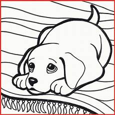 ausmalbilder hunde welpe ausmalbilder hundewelpen rooms project ausmalbilder hunde welpe ausmalbilder hundewelpen rooms project