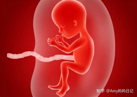 孕30周的时候医生说我肚子小 - 百度宝宝知道
