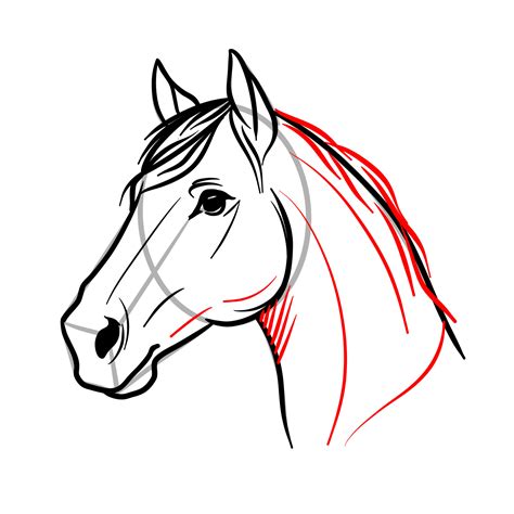 How To Draw A Horse Face Easy