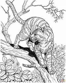 ausmalbilder tiere tiger tiger ausmalbilder 04 malvorlagen tiere kostenlose ausmalbilder tiere tiger tiger ausmalbilder 04 malvorlagen tiere kostenlose