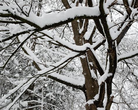 Utica NY snow photos. See the snowfall March 13-14, 2023.