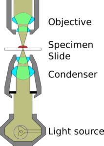 Image result for Condenser Microscope Function