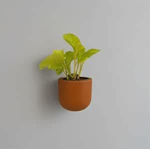 THE HANDICRAFTIAN Autumn Wall Planter Set of 1 – 4 Inch Small ...