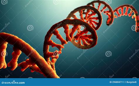 RNA Chain 的图像结果