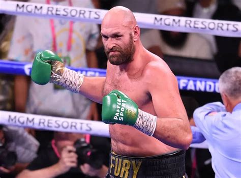 Suleiman: "Als nächstes wird der WBC einen Kampf zwischen Fury und ...