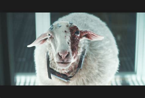 Image result for Alien Signs On Earth