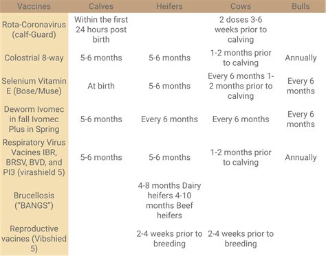 Cattle Care in Central Point, OR | Crater Animal Clinic