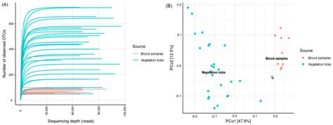 Molecular Detection of Rickettsia and Other Bacteria in Ticks and Birds ...