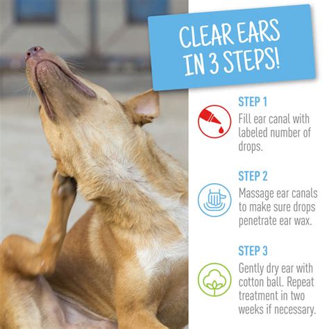 Ear Mites In Dogs Treatment Petco at Louis Martin blog