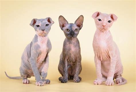 Image result for Position Encoding