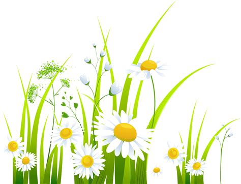 Java and Spring Background Images 的图像结果