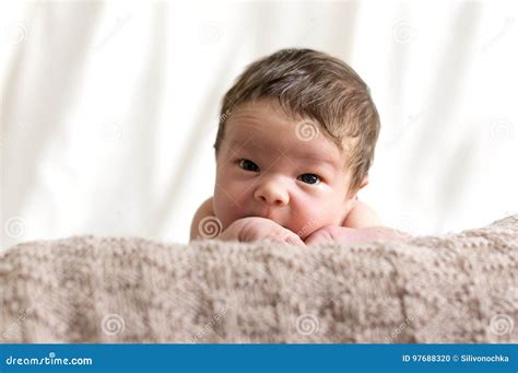 Two Weeks Old Baby on the Brown Blanket Stock Photo - Image of baby ...