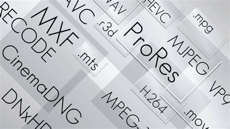 Image result for Codecs File Extensions