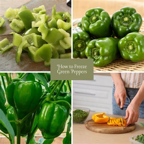 How To Freeze Green Peppers The Easy Way - The Outdoor Apothecary