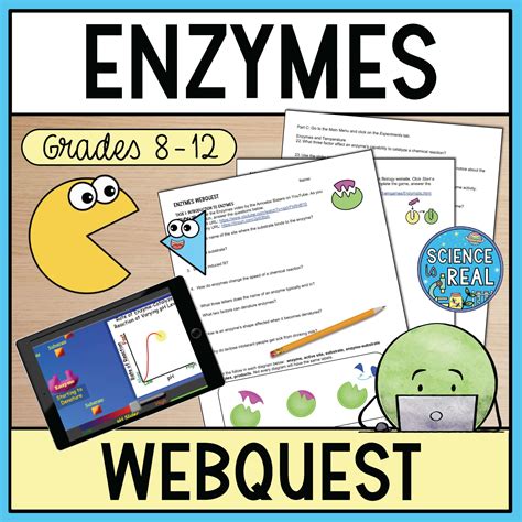 Enzymes Amoeba Sisters Video Handout - Science is Real Education
