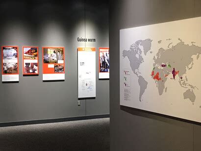 Defeating Disease | Meer