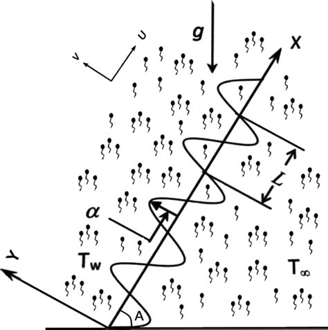 Image result for Geometry Coordinate Application Problem Solve