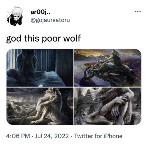 Sitting Wolf Meme | Sitting Wolf | Know Your Meme