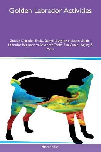 Buy Golden Labrador Activities Golden Labrador Tricks, Games & Agility ...