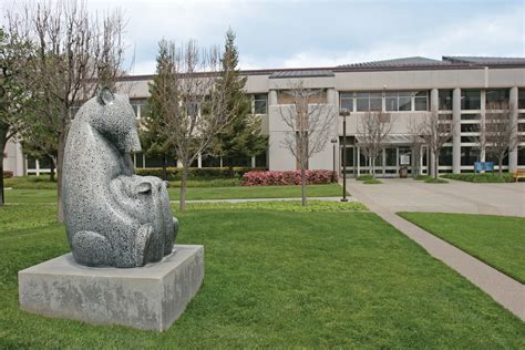 Doctoral Internship - Fremont - Kaiser Permanente Mental Health ...