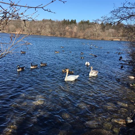 GALLUP PARK (Ann Arbor) - 2023 What to Know BEFORE You Go