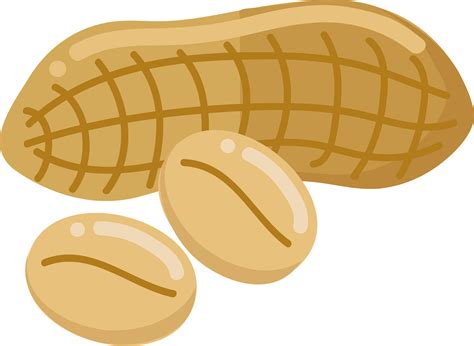 Peanut Clip Art