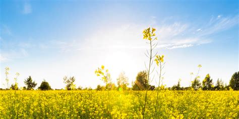 Neal & Summers Funeral and Cremation Center | Martinsville, IN Funeral ...