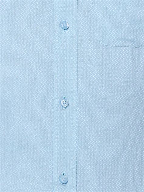 Raymond Men Blue Structure Slim Fit Cotton Shirt – MyRaymond