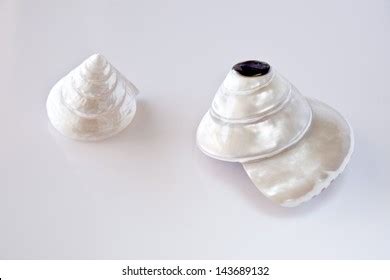 +seahell 的图像结果