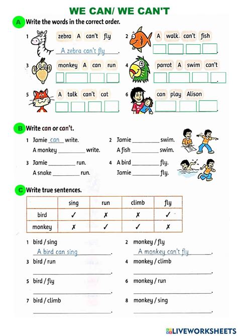Can Worksheet 的图像结果