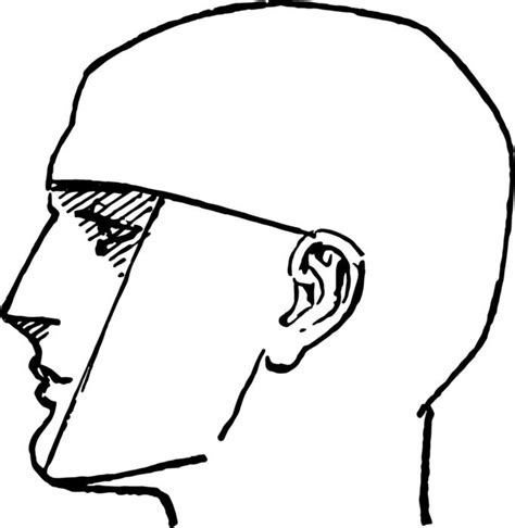 Camera Vector Side Profile 的图像结果