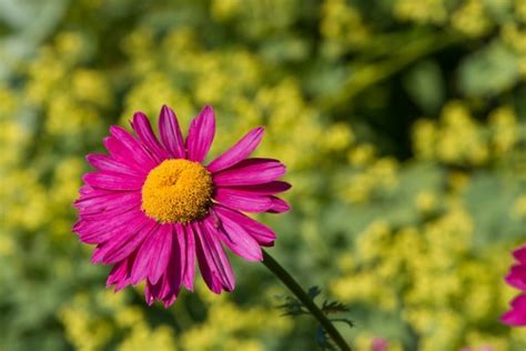 Image result for Object Syntax in JavaScript