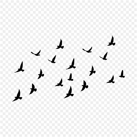 Flying Bird Illustration Vector Hd PNG Images, Flying Birds Vector ...