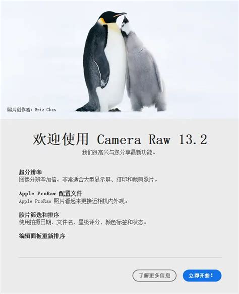 PS camera raw 14.3下载安装（最新版本）+全套camera raw教程_Raw_Camera_案例